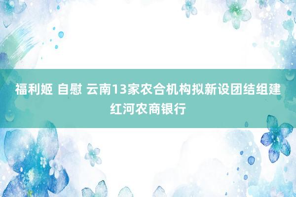 福利姬 自慰 云南13家农合机构拟新设团结组建红河农商银行