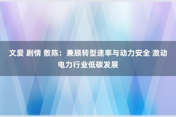 文爱 剧情 敷陈：兼顾转型速率与动力安全 激动电力行业低碳发展