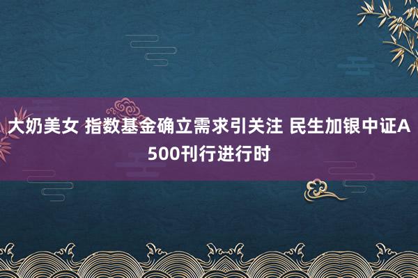 大奶美女 指数基金确立需求引关注 民生加银中证A500刊行进行时