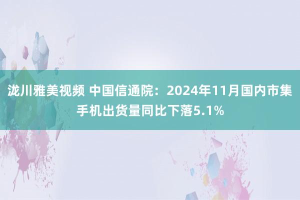 泷川雅美视频 中国信通院：2024年11月国内市集手机出货量同比下落5.1%