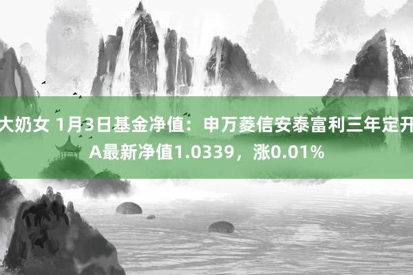 大奶女 1月3日基金净值：申万菱信安泰富利三年定开A最新净值1.0339，涨0.01%