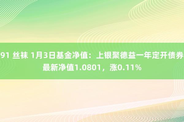 91 丝袜 1月3日基金净值：上银聚德益一年定开债券最新净值1.0801，涨0.11%