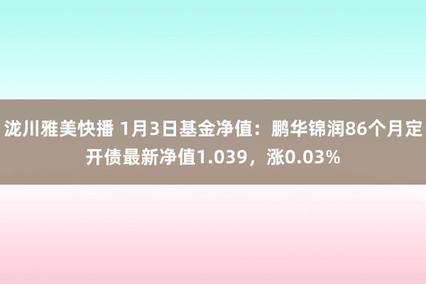 泷川雅美快播 1月3日基金净值：鹏华锦润86个月定开债最新净值1.039，涨0.03%