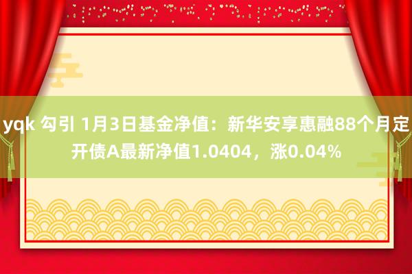 yqk 勾引 1月3日基金净值：新华安享惠融88个月定开债A最新净值1.0404，涨0.04%