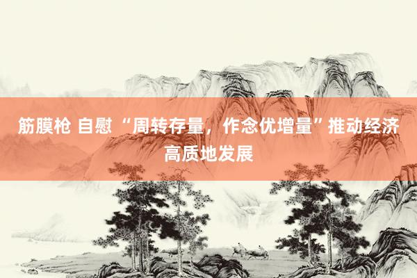 筋膜枪 自慰 “周转存量，作念优增量”推动经济高质地发展