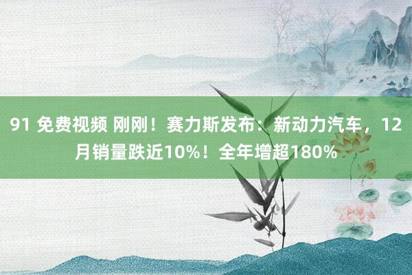 91 免费视频 刚刚！赛力斯发布：新动力汽车，12月销量跌近10%！全年增超180%