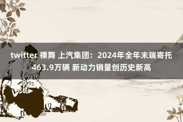 twitter 裸舞 上汽集团：2024年全年末端寄托463.9万辆 新动力销量创历史新高