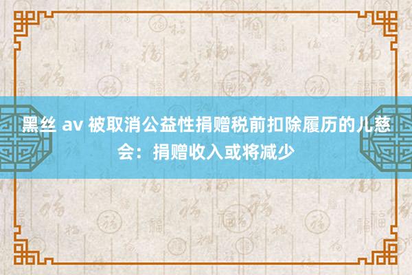 黑丝 av 被取消公益性捐赠税前扣除履历的儿慈会：捐赠收入或将减少