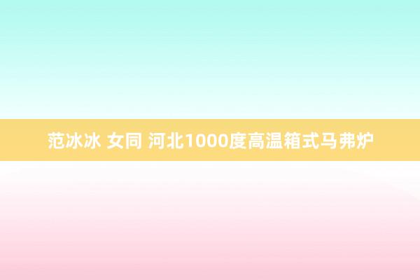 范冰冰 女同 河北1000度高温箱式马弗炉