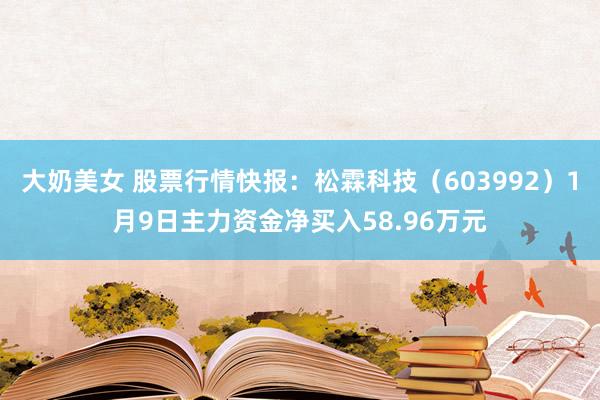 大奶美女 股票行情快报：松霖科技（603992）1月9日主力资金净买入58.96万元