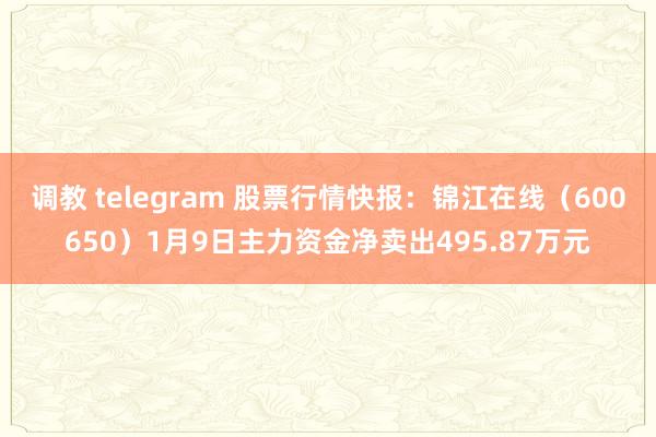 调教 telegram 股票行情快报：锦江在线（600650）1月9日主力资金净卖出495.87万元