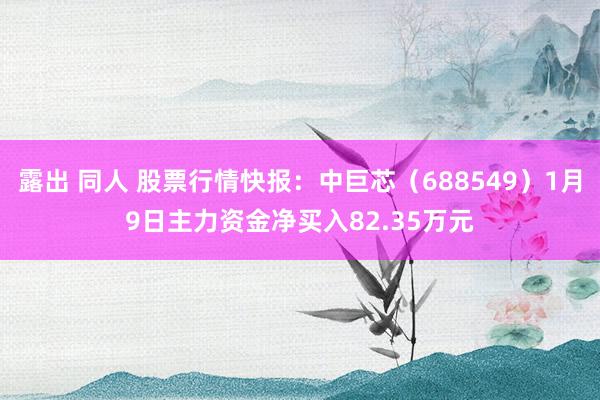 露出 同人 股票行情快报：中巨芯（688549）1月9日主力资金净买入82.35万元