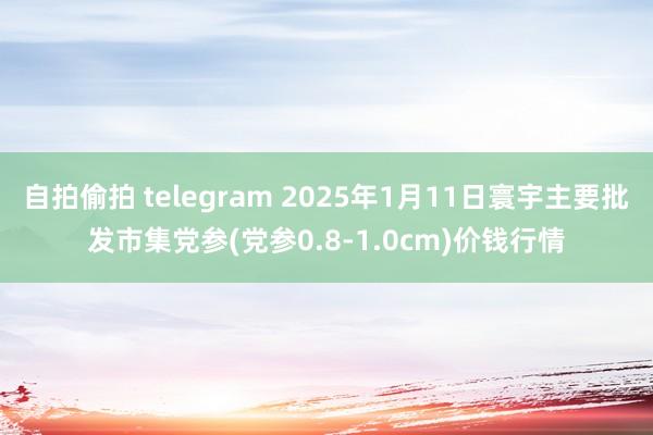 自拍偷拍 telegram 2025年1月11日寰宇主要批发市集党参(党参0.8-1.0cm)价钱行情