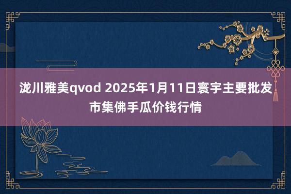 泷川雅美qvod 2025年1月11日寰宇主要批发市集佛手瓜价钱行情