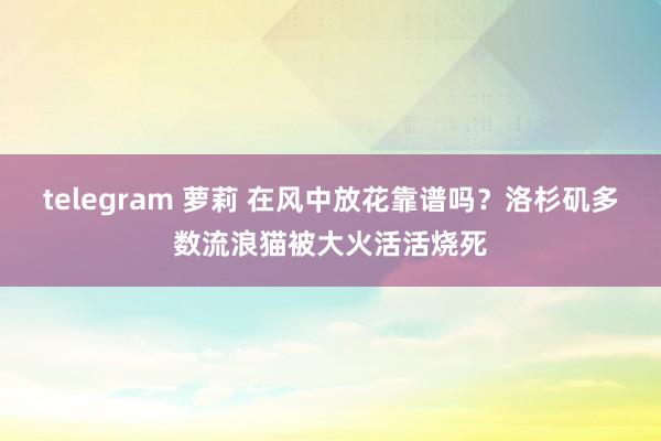 telegram 萝莉 在风中放花靠谱吗？洛杉矶多数流浪猫被大火活活烧死