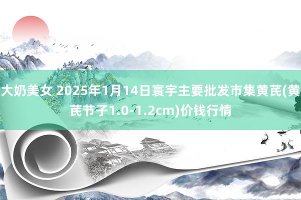 大奶美女 2025年1月14日寰宇主要批发市集黄芪(黄芪节子1.0-1.2cm)价钱行情