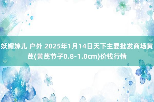 妖媚婷儿 户外 2025年1月14日天下主要批发商场黄芪(黄芪节子0.8-1.0cm)价钱行情