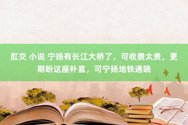 肛交 小说 宁扬有长江大桥了，可收费太贵，更期盼这座朴直，可宁扬地铁通晓